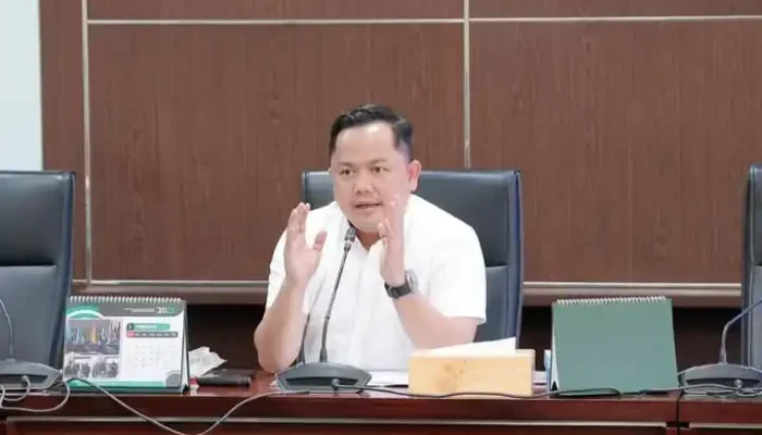 Doni Harsiva Yandra Dorong Pemda Optimalkan Pembiayaan Perbaikan Jalan
