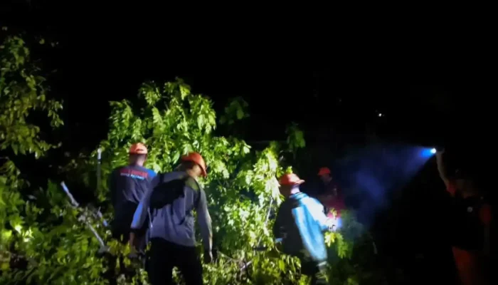 Hujan Badai di Padang, Sejumlah Rumah dan Kendaraan Tertimpa Pohon