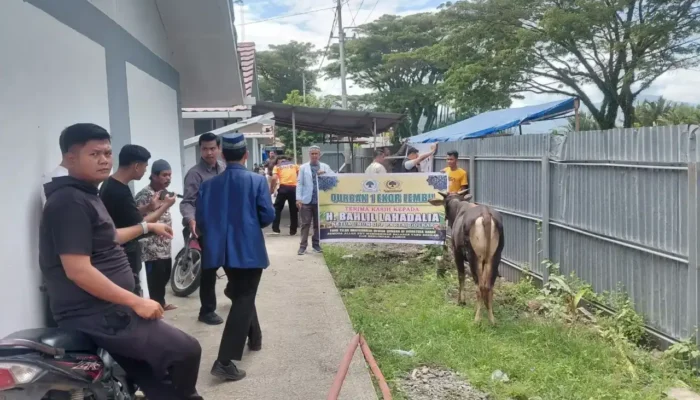 Warga Huntara Lubuk Buaya Terima Bantuan Tiga Ekor Sapi Kurban