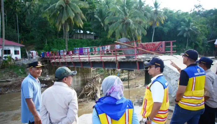 Bupati Tanah Datar Tinjau Kerusakan Tujuh Jembatan di Nagari Taluak