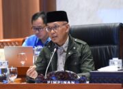 Sukamta Apresiasi Langkah Pemerintah Bebaskan Aktivis Indonesia dari Israel