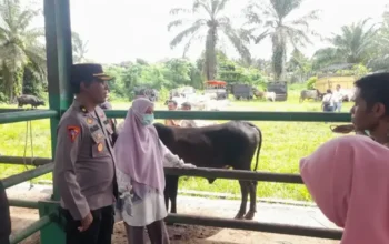 Jelang Iduladha, Polres Pasbar Tingkatkan Patroli Antisipasi Pencurian Ternak
