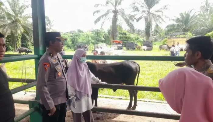 Jelang Iduladha, Polres Pasbar Tingkatkan Patroli Antisipasi Pencurian Ternak