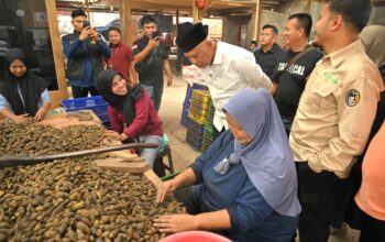 Gubernur Mahyeldi Dorong Hilirisasi Pinang di Sumbar