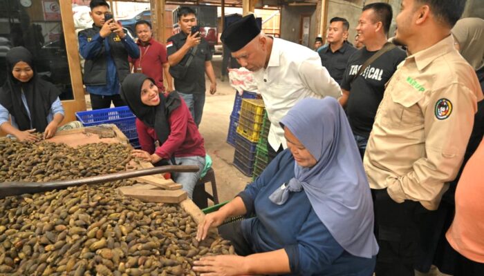 Gubernur Mahyeldi Dorong Hilirisasi Pinang di Sumbar
