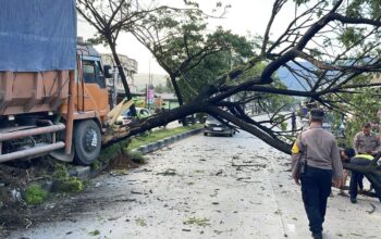 Truk Tabrak Pohon hingga Tutupi Jalur Padang-Solok