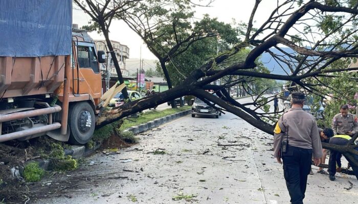 Truk Tabrak Pohon hingga Tutupi Jalur Padang-Solok