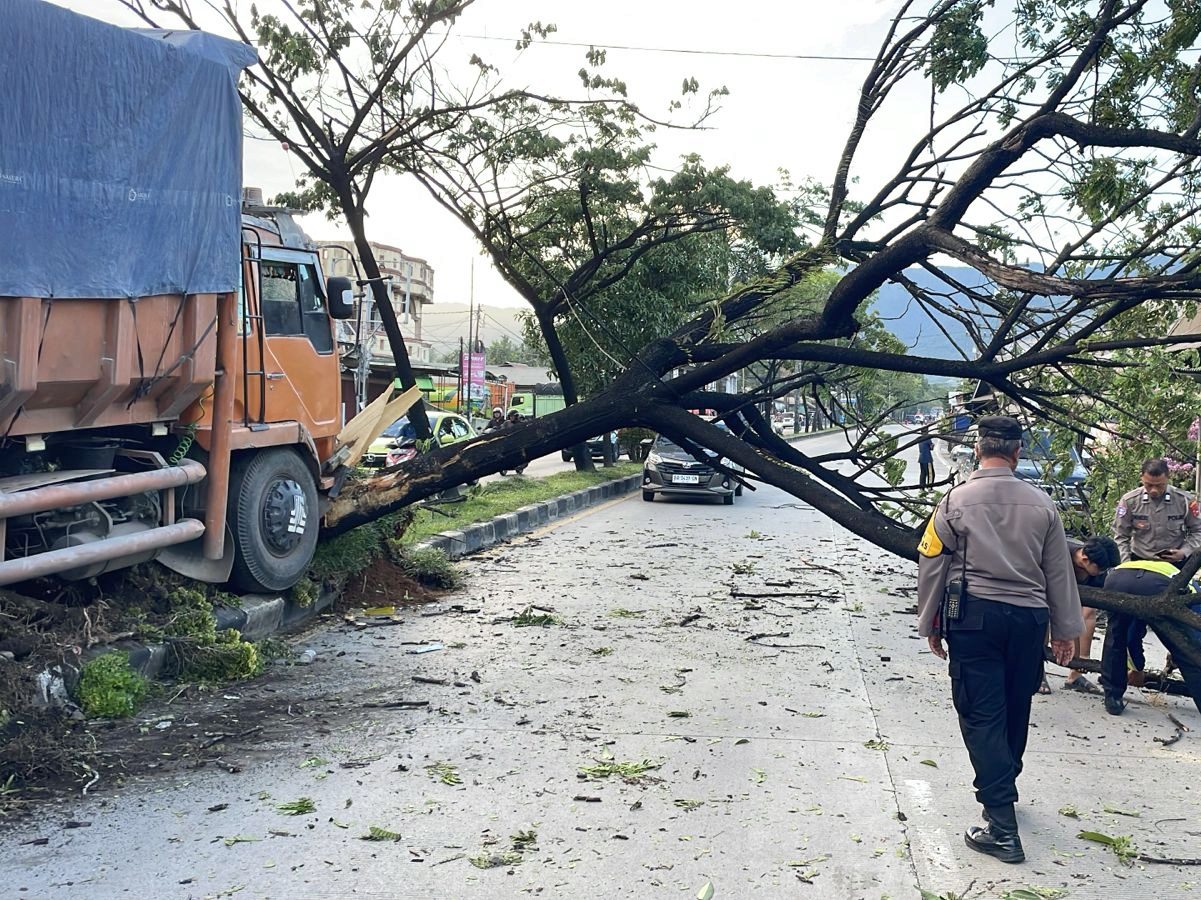 satu-unit-truk-hantam-pohon-trembesi-hingga-tumbang-di-jalur-padang-solok