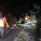 diterpa-angin-kencang,-pohon-tumbang-sempat-putus-akses-jalan-di-bungus-padang