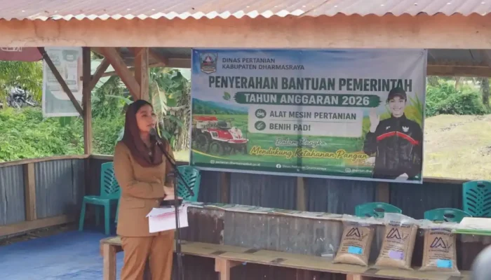 Pemkab Dharmasraya Salurkan Traktor dan Benih Padi Perkuat Produktivitas Pertanian