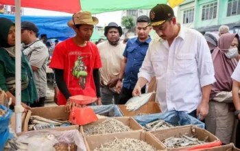 Pemerintah Percepat Pemulihan Ekonomi Pelaku UMKM Terdampak Bencana