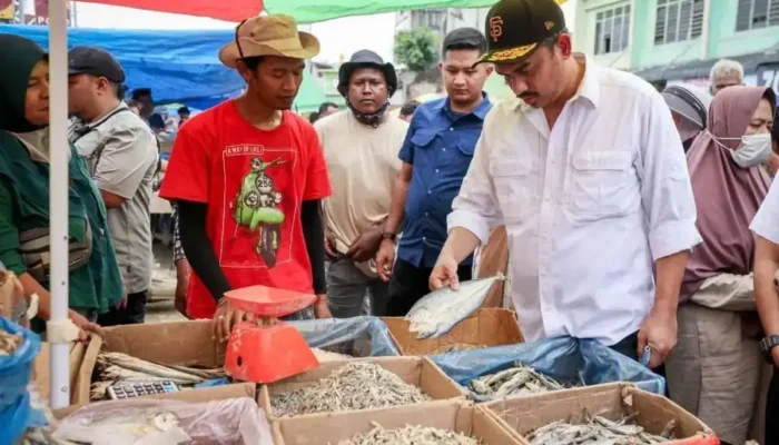 Pemerintah Percepat Pemulihan Ekonomi Pelaku UMKM Terdampak Bencana