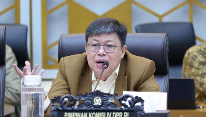 Komisi IV DPR Desak Kemenhut Prioritaskan Anggaran Perlindungan Hutan