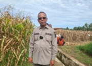 Tingkatkan Produktivitas Petani, Dinas Pertanian Padang Salurkan Pupuk Berkualitas