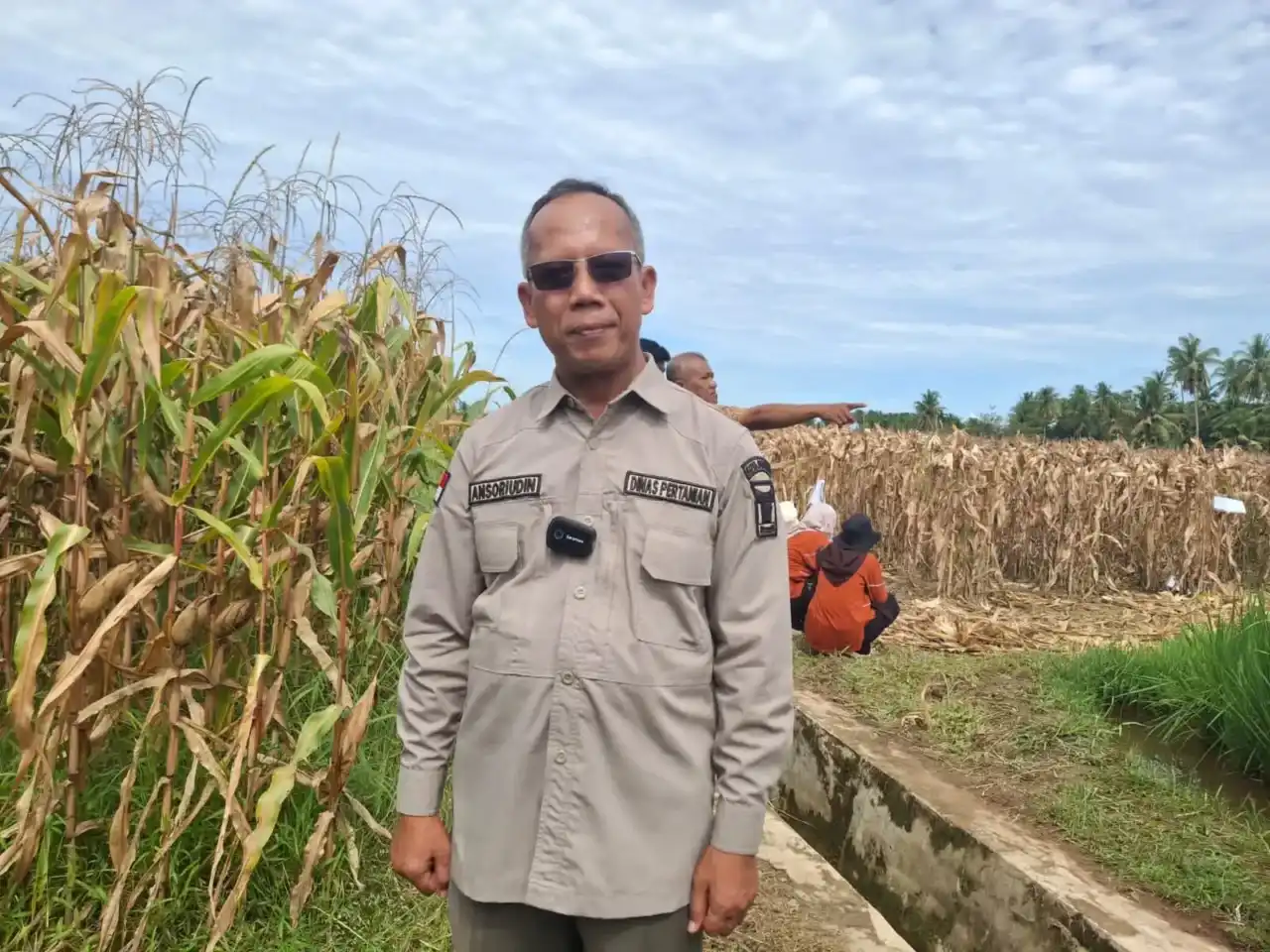 Sekretaris Dinas Pertanian Kota Padang, Ansoriudin. Foto : Istimewa