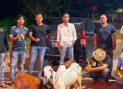 Polres Sawahlunto Tangkap Dua Pelaku Pencurian Ternak Warga