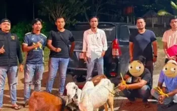 Polres Sawahlunto Tangkap Dua Pelaku Pencurian Ternak Warga