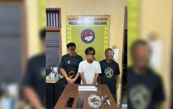 Polres Padang Panjang Tangkap Tiga Pria Pengguna Ganja