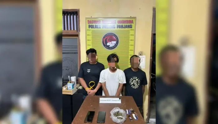 Polres Padang Panjang Tangkap Tiga Pria Pengguna Ganja