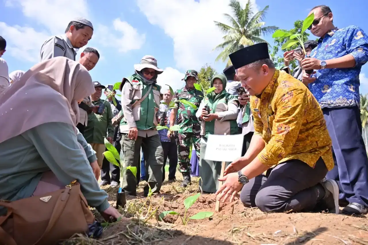 Kejar Pasokan Buah Untuk MBG, Payakumbuh Tanam 3.000 Pisang Barangan
