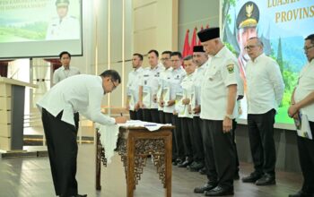 Pemprov Sumbar Tetapkan 166 Ribu Hektare Lahan Pertanian untuk Ketahanan Pangan