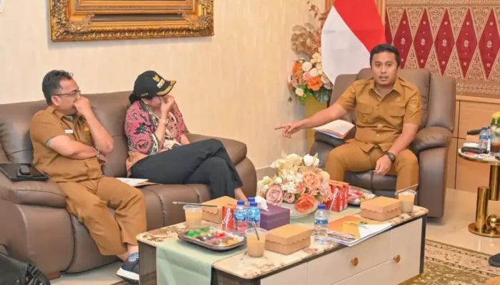 Percepat Pertumbuhan Ekonomi, Pemprov Sumbar Usulkan Kawasan SSD Menjadi PSN