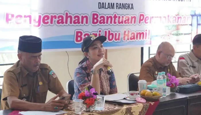 Percepat Generasi Emas, Bupati Annisa Berikan Bantuan Gizi bagi 251 Ibu di Dharmasraya