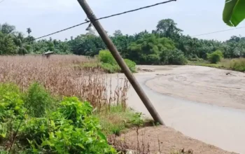 Tebing Sungai Batang Tiku Runtuh, BPBD Agam Amankan Akses Jalan Kabupaten