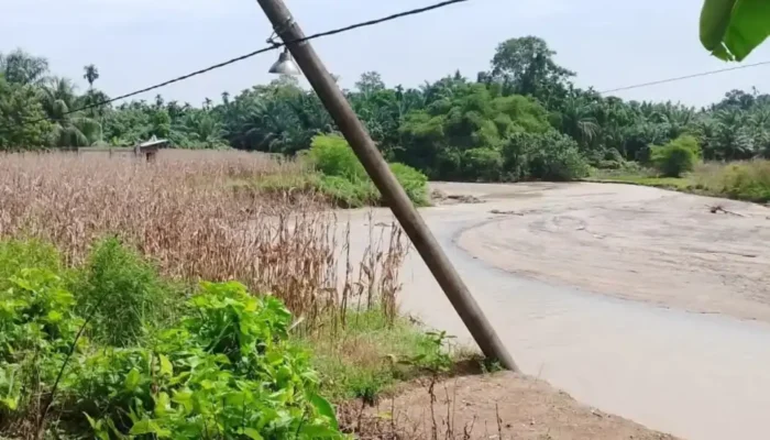 Tebing Sungai Batang Tiku Runtuh, BPBD Agam Amankan Akses Jalan Kabupaten