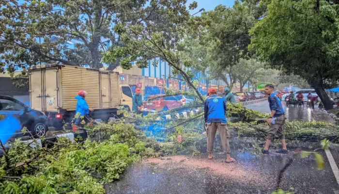 BPBD Padang Kerahkan Tim Reaksi Cepat Hadapi Cuaca Ekstrem