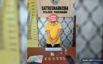 Polres Pariaman Tangkap Kembali Residivis Kasus Peredaran Narkotika Jenis Sabu