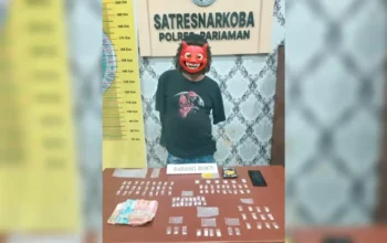 Gerebek Ladang Alpukat, Polres Pariaman Amankan Bandar dan 81 Paket Sabu