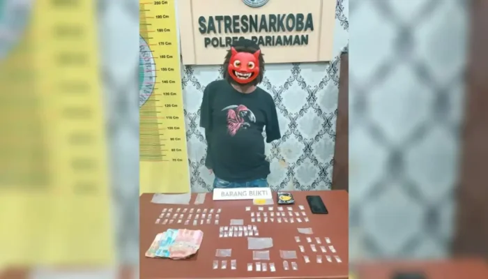 Gerebek Ladang Alpukat, Polres Pariaman Amankan Bandar dan 81 Paket Sabu