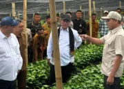 Pemerintah Pusat Percepat Pemulihan Infrastruktur dan Ekonomi di Tanah Gayo