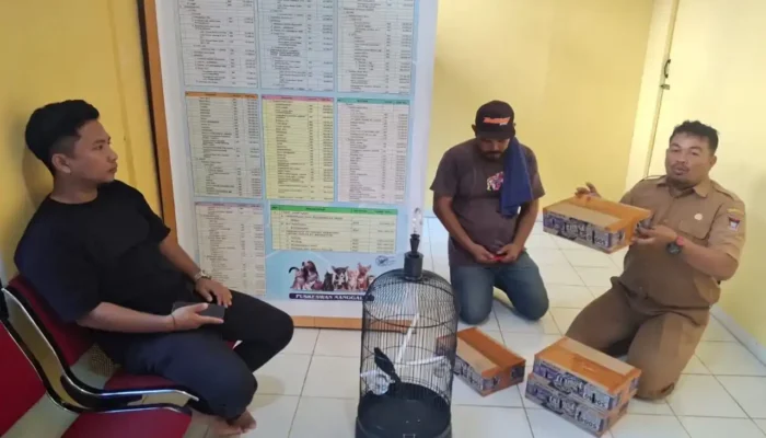 UPT Puskeswan Kota Padang Optimalkan Layanan Kesehatan dan Digitalisasi Satwa