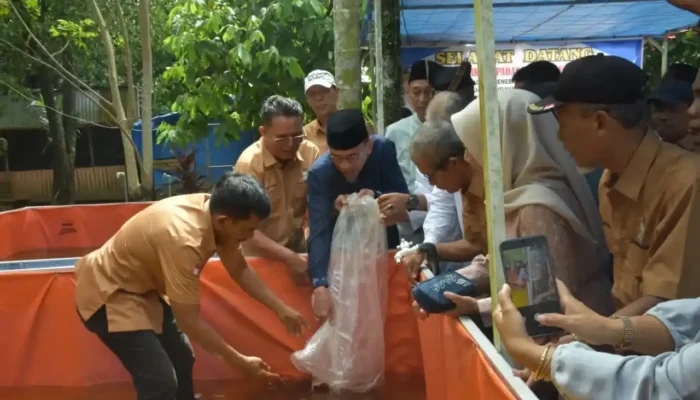 Perkuat Ketahanan Pangan, Wawako Padang Kembangkan Budidaya Lele di Kuranji