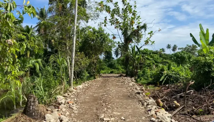 Warga Lubuk Lintah Hibahkan Lahan untuk Percepatan Proyek Pelebaran Jalan