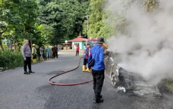 Minibus Terbakar di Jalan Lintas Sumbar Riau, Seluruh Penumpang Selamat