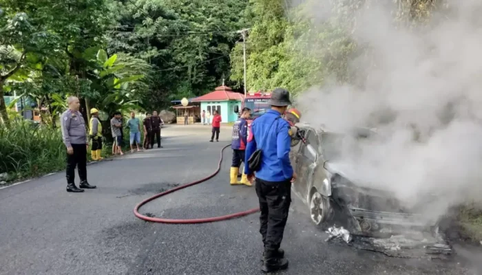 Minibus Terbakar di Jalan Lintas Sumbar Riau, Seluruh Penumpang Selamat