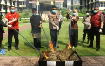 Polda Sumbar Ungkap 61 Kasus Narkoba dan Sita Puluhan Kilogram Barang Bukti