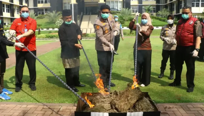Polda Sumbar Ungkap 61 Kasus Narkoba dan Sita Puluhan Kilogram Barang Bukti