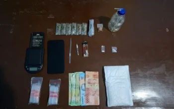 Satresnarkoba Polres Pasaman Tangkap Dua Pengedar Sabu dan Ganja