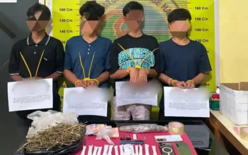 Satresnarkoba Polres Pessel Bongkar Jaringan Peredaran Ganja Libatkan Empat Remaja