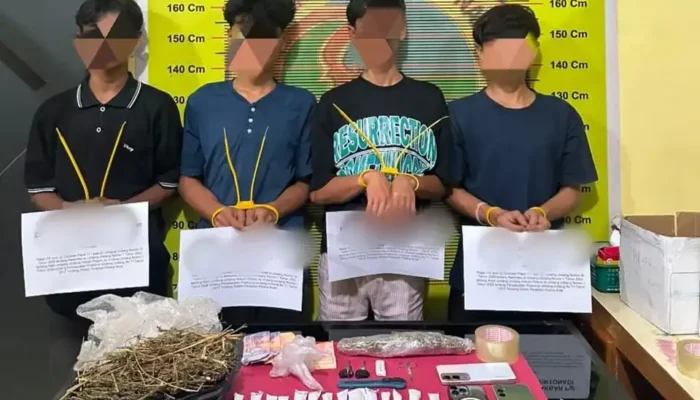 Satresnarkoba Polres Pessel Bongkar Jaringan Peredaran Ganja Libatkan Empat Remaja