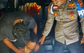 Bongkar Kasus Ganja, Polres Solok Tangkap Mahasiswa Usai Alami Kecelakaan