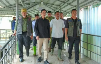 Dampingi Wapres Gibran, Gubernur dan Wagub Sumbar Pantau Kondisi Korban Banjir Solok
