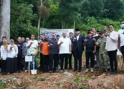 Hulu DAS Batang Kuranji Dipulihkan, 60 Ribu Pohon Ditargetkan Tekan Risiko Banjir Padang