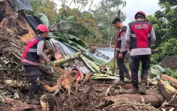 Unit K9 Polda Sumbar Temukan Barang Pribadi Korban Galodo Solok